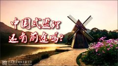 中國(guó)式監(jiān)理，還有前途嗎？